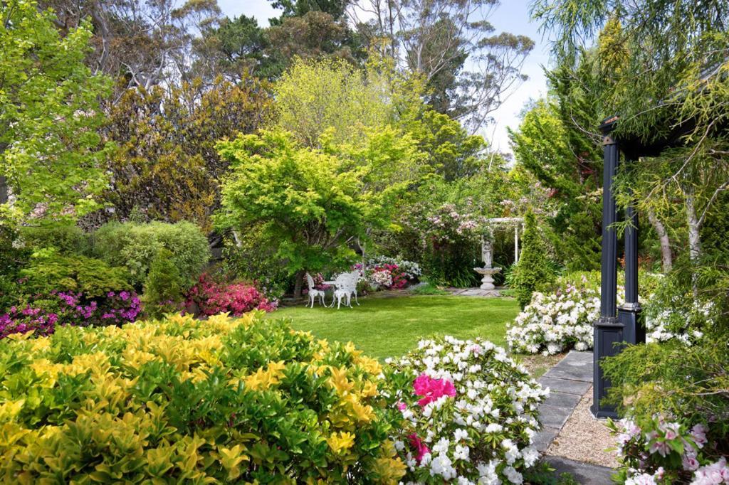 Winston Cottage at Three Sisters Katoomba Exterior foto