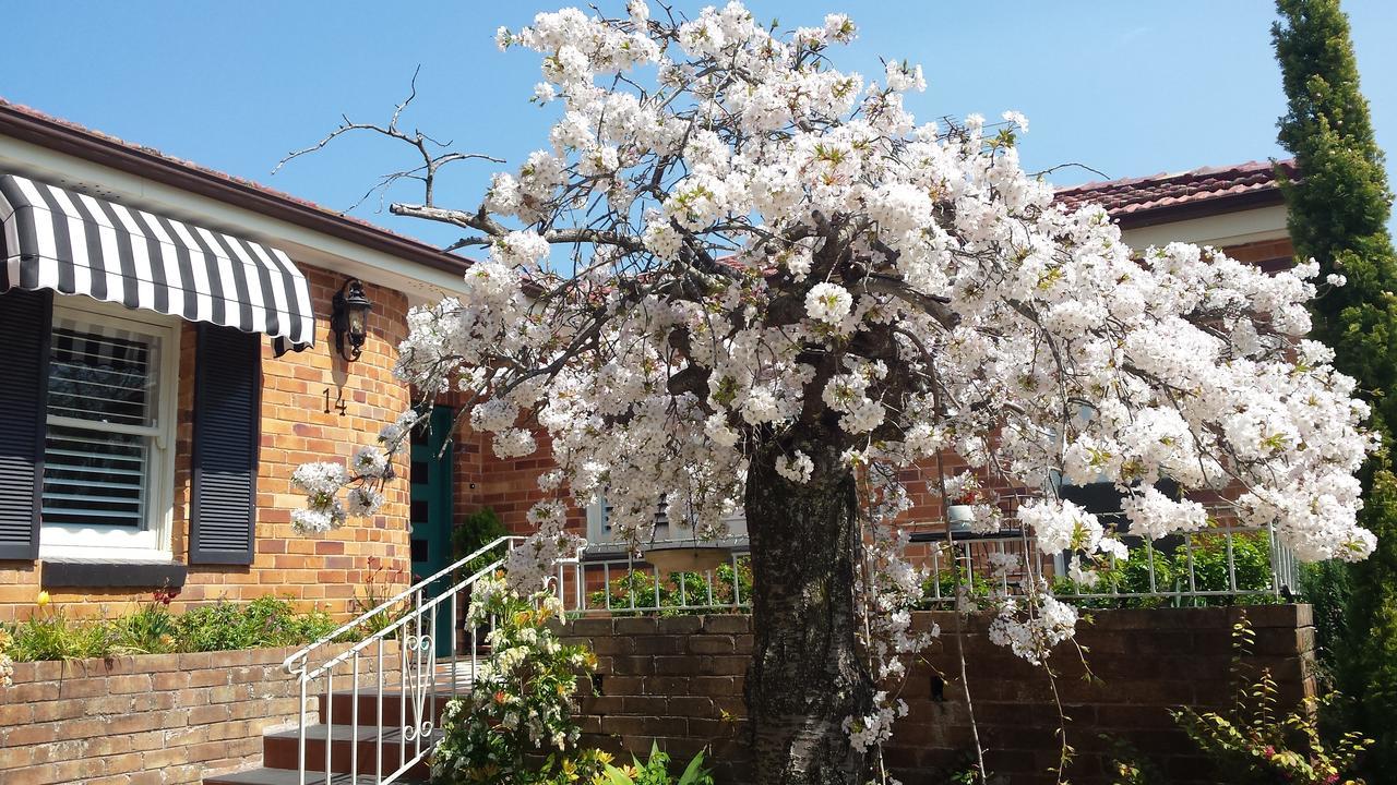 Winston Cottage at Three Sisters Katoomba Exterior foto